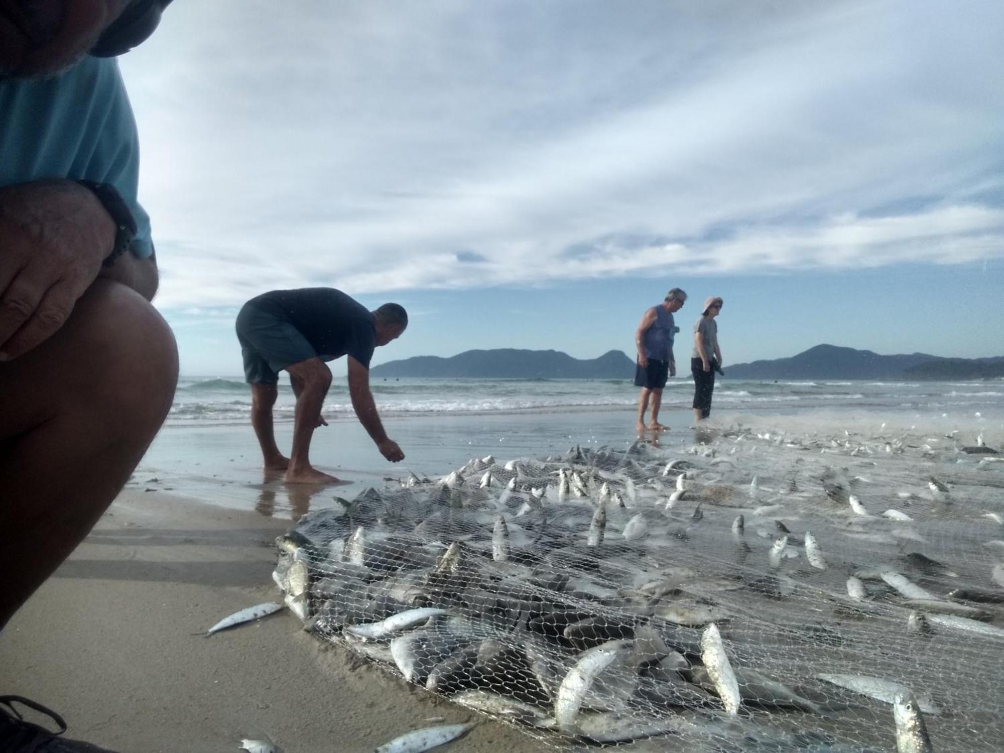 Charmoso E Moderno No Paraiso E Proximo Ao Aeroporto Florianopolis Luaran gambar